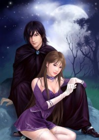 極品小贅婿